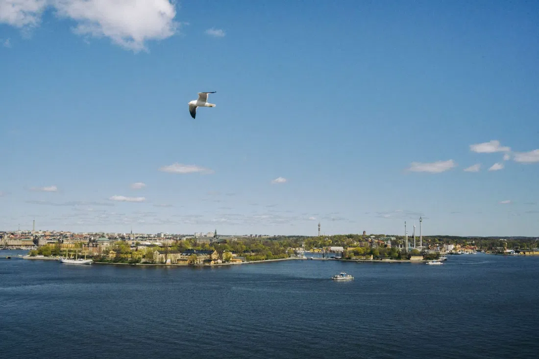 Pelago, Stockholm