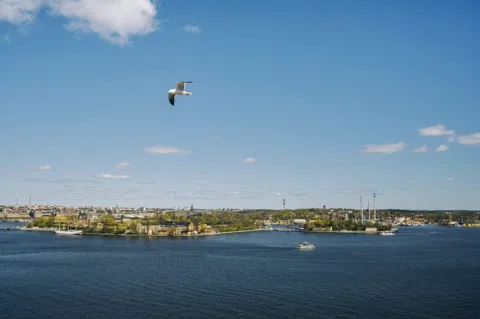 How Stockholm's Endless Summer Light Rewrites the Evening